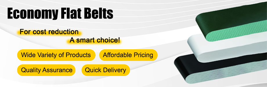 economy flat belts