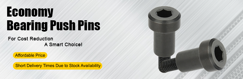 economy bearing push pins