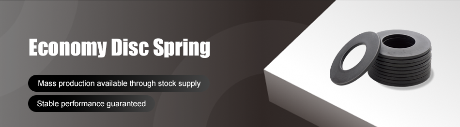 Economy Disc Springs